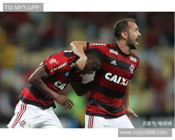 戈亚斯对阵弗拉门戈精彩直播全程回顾与赛后分析